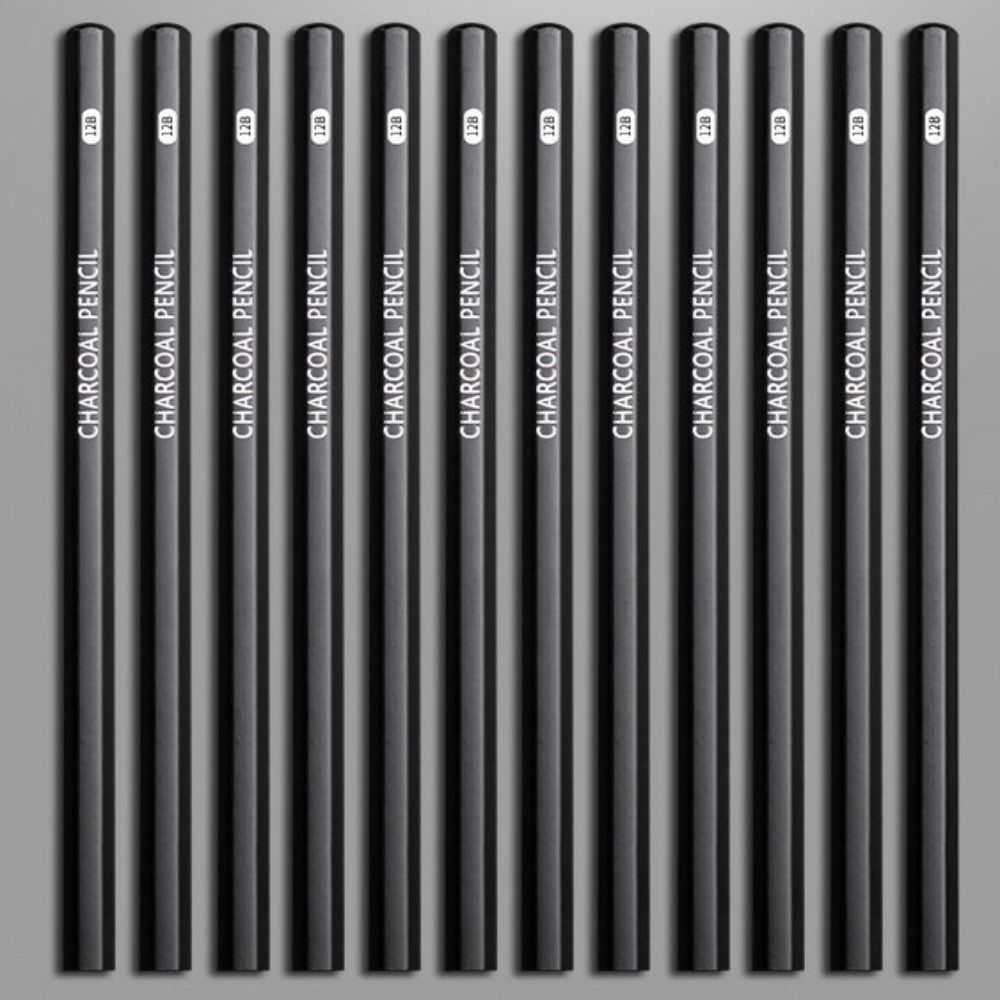 Professional Graphite Mixed Sk - đánh giá và giá Sketching Charcoal Set