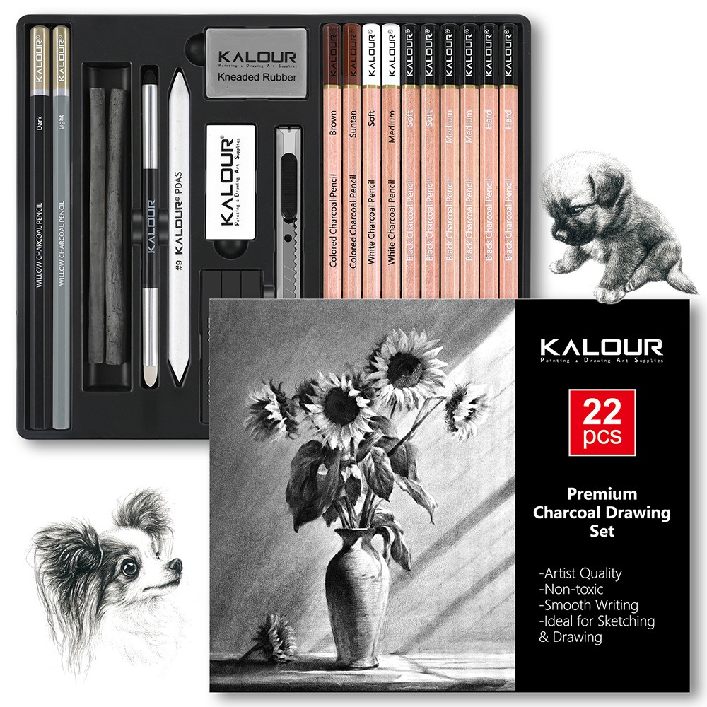 KALOUR 25/22pcs Sketching Penc - đánh giá và giá Sketching Charcoal Set